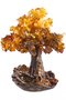 Amber tree