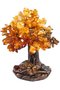 Amber tree