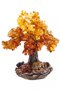 Amber tree
