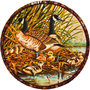 "Wild ducks with ducklings"