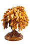 Amber bonsai tree